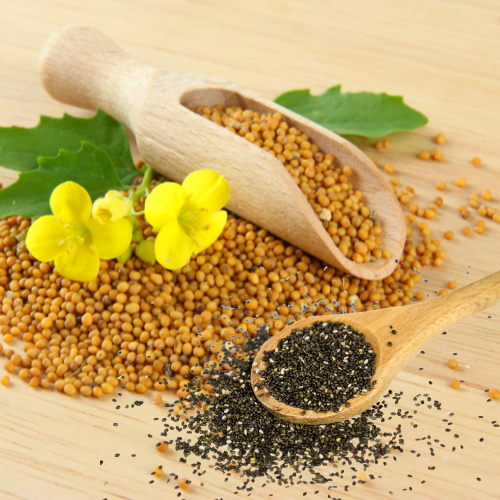 Mustard Seeds