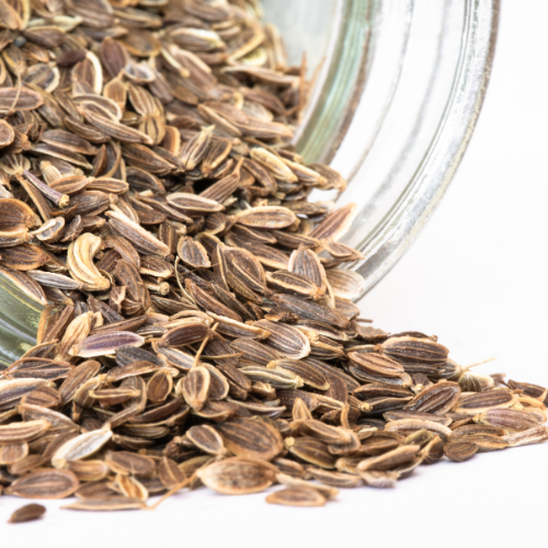 Dill Seeds