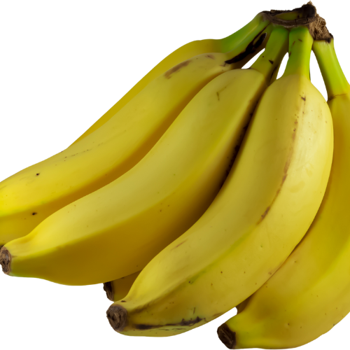 Cavendish Bananas
