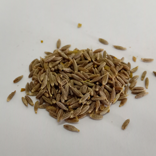 Cumin Seeds