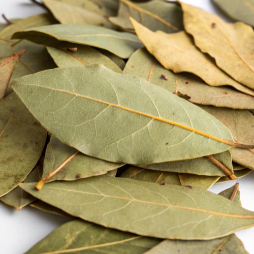 Bay Leaves